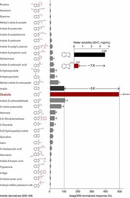 Supersensitive Odorant Receptor Underscores Pleiotropic Roles of Indoles in Mosquito Ecology